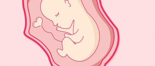 碧雅威医院试管婴儿费用