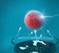 试管婴儿如何挑选试管机构服务做试管婴儿怎样选择正规机构