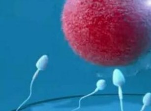 黑河市有哪些可以做试管婴儿的医院，费用多少钱？